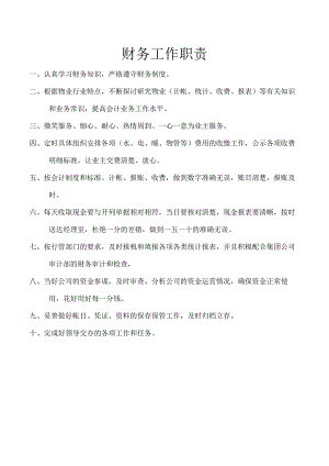 财务工作职责.docx