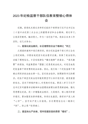 2023年纪检监察干部队伍教育整顿心得体会 (三篇模板).docx