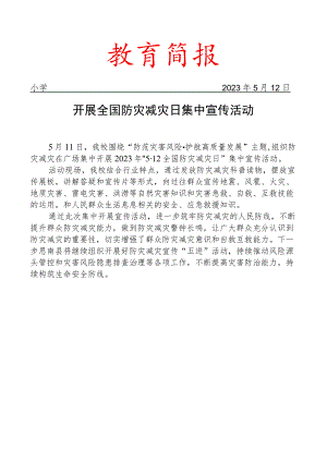 开展全国防灾减灾日集中宣传活动简报.docx