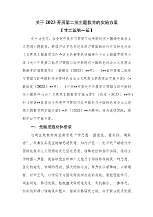 （2篇）关于2023开展第二批主题教育的实施方案.docx