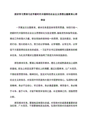 2023年抓好学习贯彻新时代中国特色社会主义思想主题教育心得体会.docx