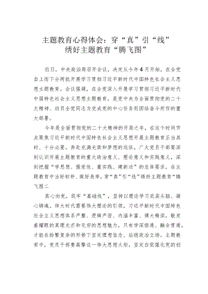 主题教育心得体会：穿“真”引“线”绣好主题教育“腾飞图”.docx