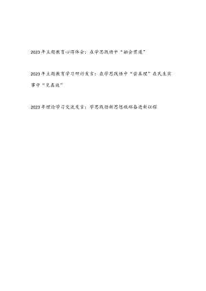 2023年“学思想、强党性、重实践、建新功”主题教育学思践悟心得体会研讨交流发言2篇.docx