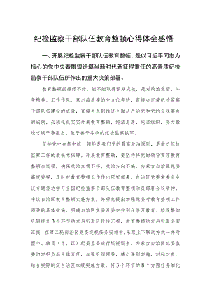 纪检监察干部队伍教育整顿心得体会范文三篇模板.docx