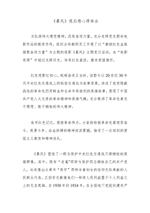 《暴风》观后感心得体会.docx