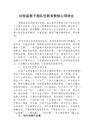 全国纪检监察干部队伍教育整顿心得体会范文(精选3篇).docx