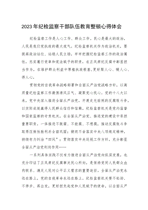 2023年纪检监察干部队伍教育整顿心得体会(三篇)例文.docx