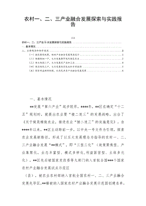 农村一、二、三产业融合发展探索与实践报告.docx