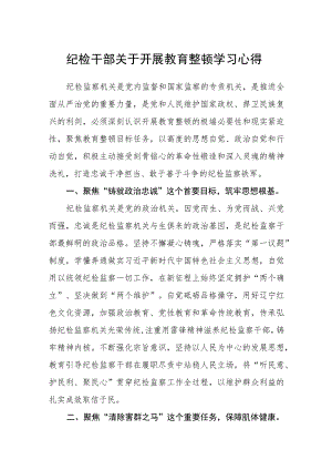 纪检干部关于开展教育整顿学习心得.docx