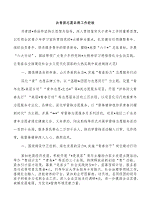 共青团志愿品牌工作经验.docx