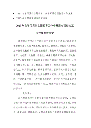 2023年学习贯彻主题教育工作中开展专项整治及调查研究工作方案范文2篇.docx