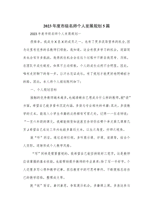 2023年度市级名师个人发展规划5篇.docx