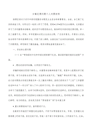 乡镇反馈问题个人对照材料.docx