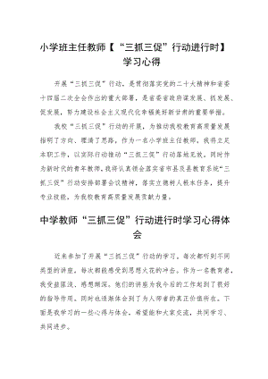 （共三篇）小学班主任教师【“三抓三促”行动进行时】学习心得.docx