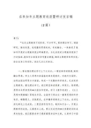 （2篇）在参加年主题教育收获暨研讨发言稿.docx