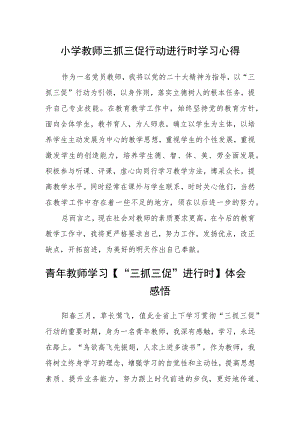 （共三篇）小学教师三抓三促行动进行时学习心得.docx