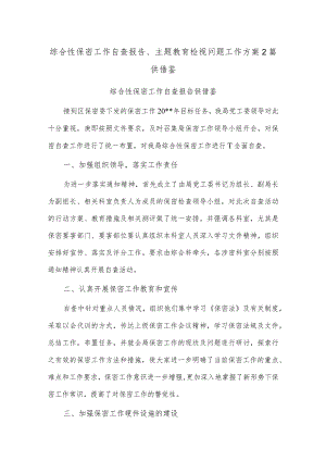 综合性保密工作自查报告、主题教育检视问题工作方案2篇供借鉴.docx