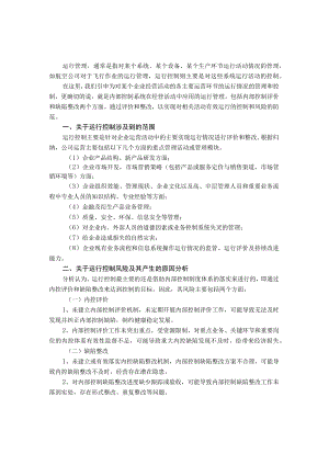 集团公司运行控制风险及防控.docx