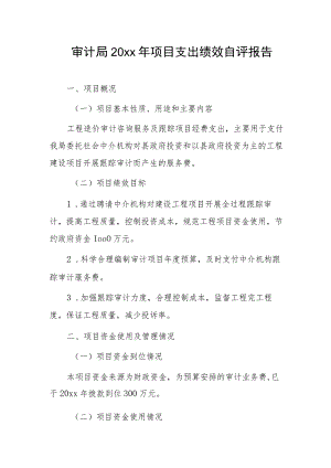 审计局20xx年项目支出绩效自评报告.docx