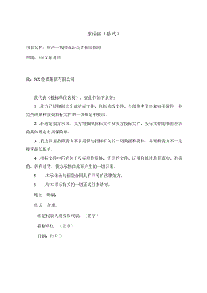 承诺函（格式）.docx
