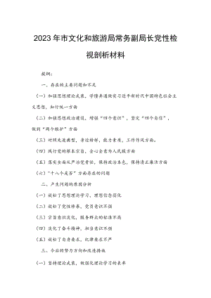 2023年市文化和旅游局常务副局长党性检视剖析材料.docx
