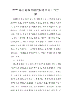 2023年主题教育检视问题学习工作方案.docx