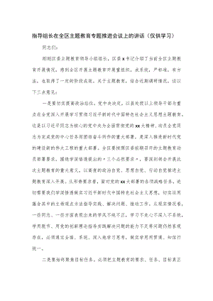 指导组长在全区主题教育专题推进会议上的讲话.docx