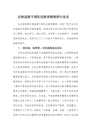 纪检监察干部队伍教育整顿研讨发言（3篇）范本.docx