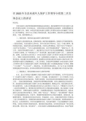 在2023年全县未成年人保护工作领导小组第二次全体会议上的讲话.docx