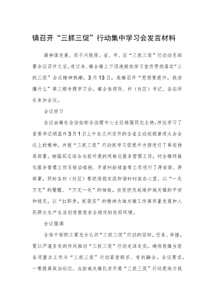 镇召开“三抓三促”行动集中学习会发言材料（3篇）.docx