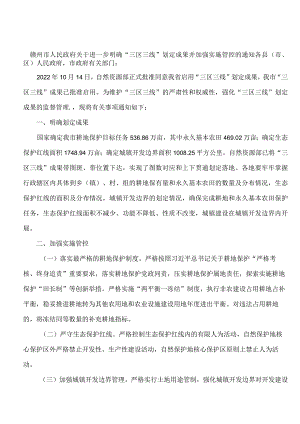 赣州市人民政府关于进一步明确“三区三线”划定成果并加强实施管控的通知.docx