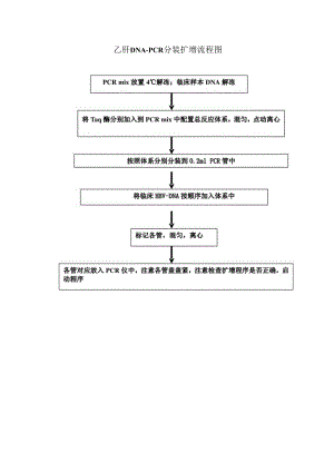 乙肝DNA-PCR分装扩增流程图.docx