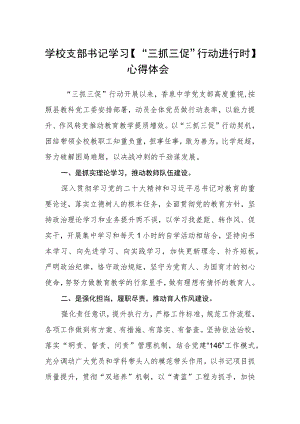 学校支部书记学习【“三抓三促”行动进行时】心得体会精选(共三篇).docx