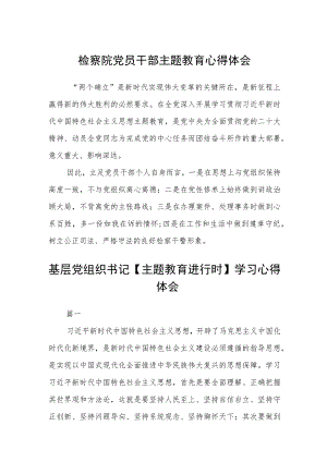 检察院党员干部主题教育心得体会汇编精选三篇.docx