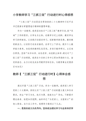 （共三篇）小学教师学习“三抓三促”行动进行时心得感想精选.docx
