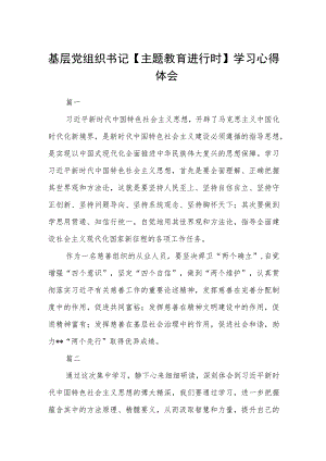 基层党组织书记【主题教育进行时】学习心得体会范文(共三篇).docx