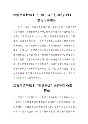 （共三篇）中学思政教师【“三抓三促”行动进行时】学习心得体会.docx