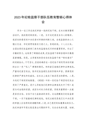 纪检监察干部队伍教育整顿心得体会发言稿七篇样本.docx