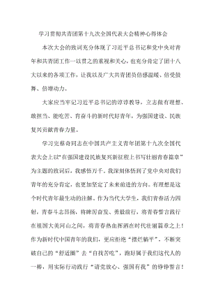 青年干部学习贯彻共青团第十九次全国代表大会精神个人心得体会 汇编5份.docx