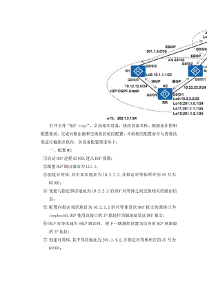 大学BGP复习内容.docx