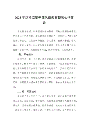 2023年全国纪检监察干部队伍教育整顿的心得体会七篇.docx
