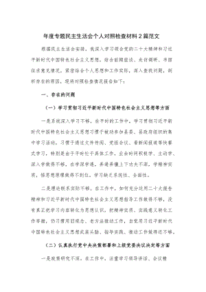 年度专题民主生活会个人对照检查材料2篇范文.docx