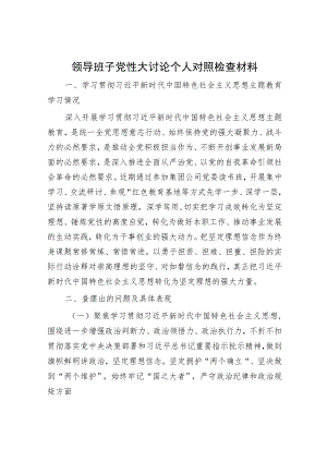 领导班子党性大讨论个人对照检查材料.docx