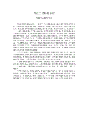 青蓝工程师傅总结87169.docx