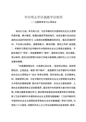 主题教育学习心得体会.docx