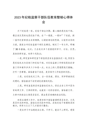 2023全国纪检监察干部队伍教育整顿教育活动的心得体会七篇.docx