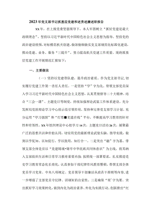 2023年党支部书记抓基层党建和述责述廉述职报告.docx