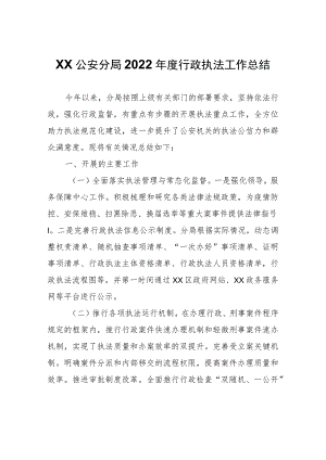 XX区公安分局2022年度行政执法工作总结.docx