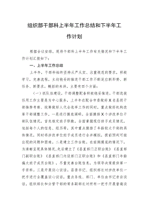 组织部干部科上半年工作总结和下半年工作计划.docx
