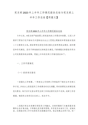 党支部2023年上半年工作情况报告总结与党支部上半年工作总结【两篇文】.docx